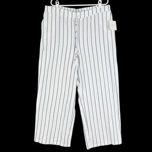 Ellen Tracy Women's Linen Blend Pull-on Straight White Blue Stripe Pants XL NWT